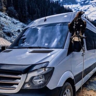 открытый: Портер такси — 3