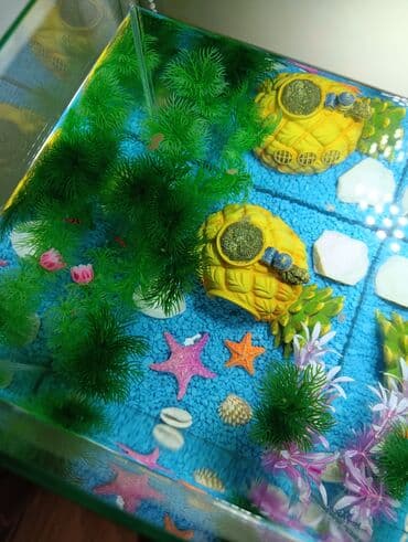 свежемороженая рыба: Аквариумный декор «Подводный городок» - Набор тематических украшений — 3