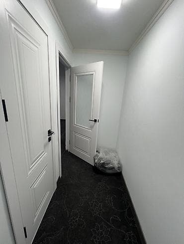 1 комната, 33 м², Мед Академия Индивидуалка, 1 этаж, Косметический ремонт — 3