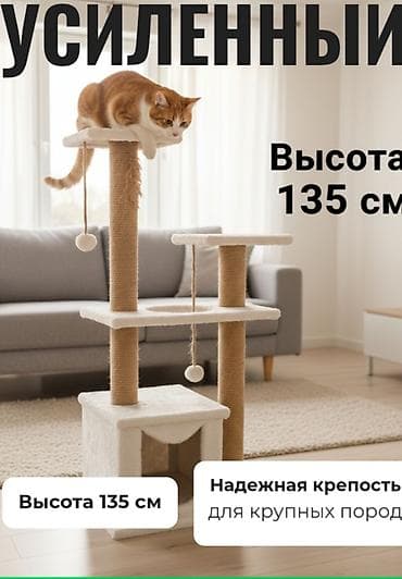 бу детские коляски: Когтеточка- домик для кошек ( состояние б/у в очень хорошем — 1