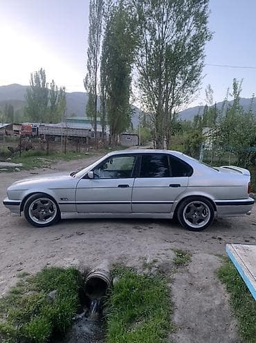 кпп zf: BMW 5 series: 1990 г., 2.5 л, Кол менен иштөөчү, Бензин, Седан — 1