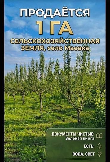 участок в маевке: 100 соток, Для сельского хозяйства, Договор купли-продажи — 1