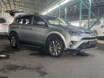Toyota RAV4: 2018 г., Гибрид