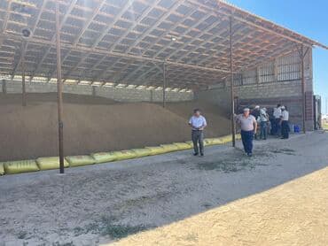 семена озимого ячменя: Семена кормовых растений: Эспарцет, Самовывоз — 6