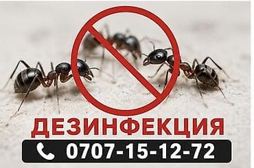 mac safe: Дезинфекция, дезинсекция, | Муравьи, Блохи, Вирусы, микробы, | Офисы, Подвал, погреб, Дома — 1