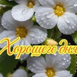 нан жапкыч: Продаю интерьерную подвесную куклу ручной работы. Эта малышка пожелает — 3