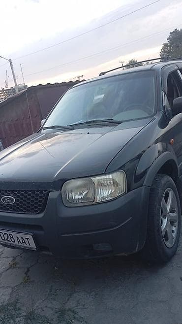 Ford Escape: 2003 г., 3 л, Газ, Внедорожник