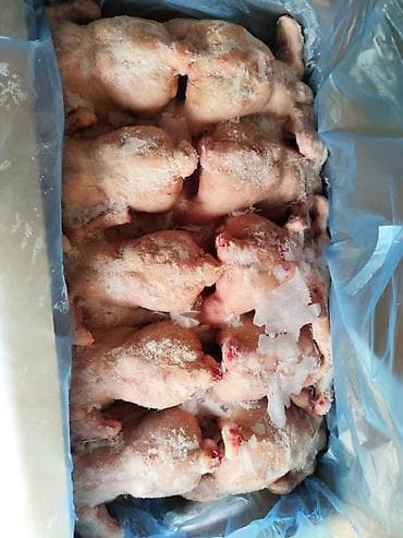 упаковочные картонные коробки: ПРОДУКТЫ ПИТАНИЯ ДОСТАВКА ПО ГоРоДу И РеГиОн. ЗАМОРОЖЕННЫЕ — 8