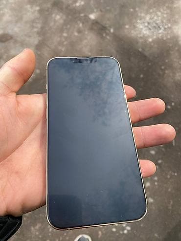 Мобильные телефоны: IPhone 13 Pro, Серебристый — 4