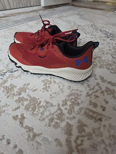 лоферы обувь: Мужские кроссовки, 43, Under Armour, Новый, цвет - Красный — 2