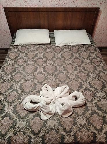 суточный гостевой дом: 25 м², С мебелью — 3