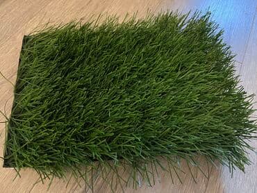 цена искусственного газона: Итальянский искусственный газон !!!Лучший газон по лучшей цене — 4