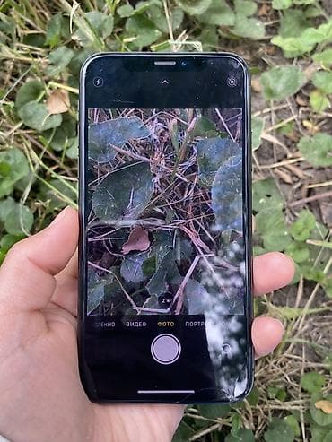 pixel google: IPhone Xs, 256 ГБ, Space Gray, 75 % — 6