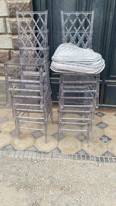 растения комнатные: Стул для зала, Новый, Пластик — 4