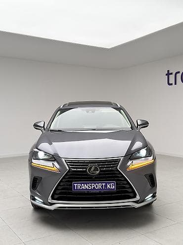 сполер: Lexus NX: 2021 г., 2 л, Автомат, Бензин, Кроссовер — 3