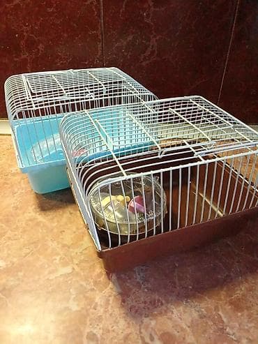 клетки для хомяков бишкек: Клетки для мелких грызунов и не только — 3