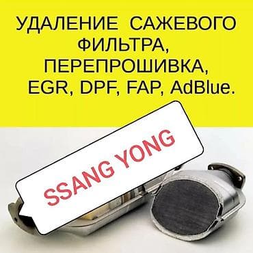 авто танировка: Услуги автоэлектрика, Компьютерная диагностика, Регулировка, адаптация систем автомобиля, без выезда — 1