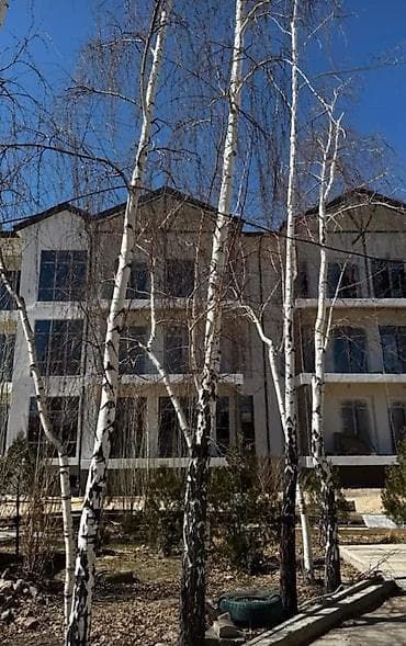 квартиры чайка: 2 комнаты, 64 м², Индивидуалка, 1 этаж, Готовая ПСО (под самоотделку) — 4