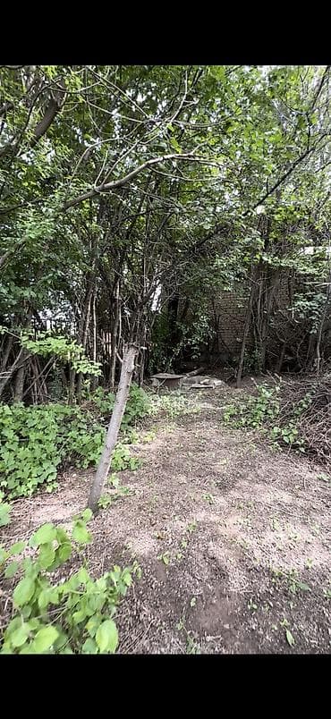 ата журт п: 6 соток, Курулуш, Кызыл китеп — 9