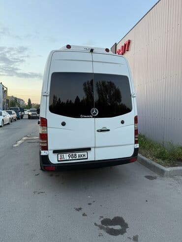 спринтер тдй: По региону, Аэропорт, По городу Бус | 17 мест — 6