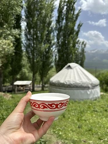 первый май: КЫМЫЗОЛЕЧЕНИЕ с панорамным видом в горы 😍 5 разовое кобылье молоко 3 — 2