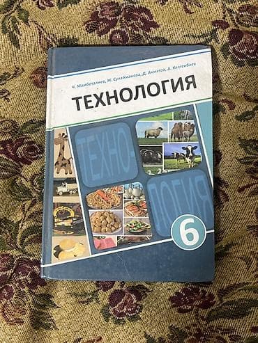 Китептер жана журналдар: Комплект школьных учебников для 5–7 классов (КР) Все книги в отличном — 4
