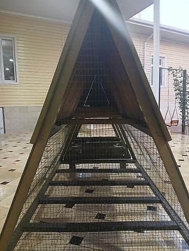 А\ч жаныбралары үчүн товарлар жана шаймандар: Передвижной курятник/вольер треугольной формы (А-образная — 3