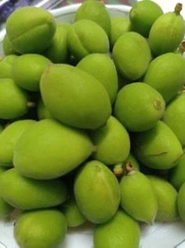 слива фрукты: Зелёные недозрелые манго (кормовые/для кухонь и заготовок) - Сорт — 3