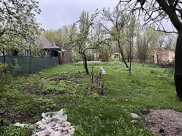 мин булак: 4 соток, Бизнес үчүн, Кызыл китеп — 5