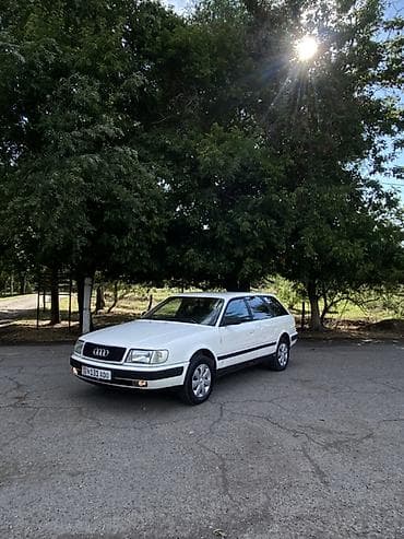 цены на электроскутеры: Audi 100: 1992 г., Универсал — 3