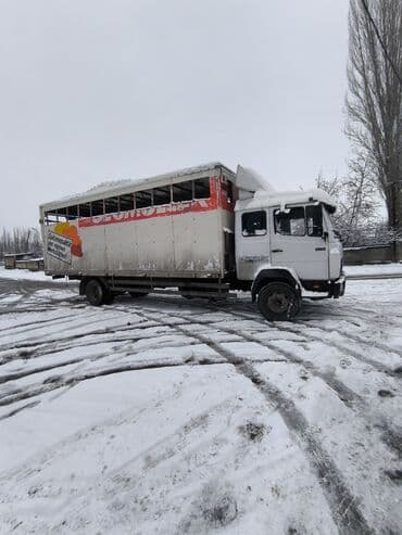 Жүк ташуучу унаа, Mercedes-Benz, Стандарт, 7 т, Колдонулган — 1