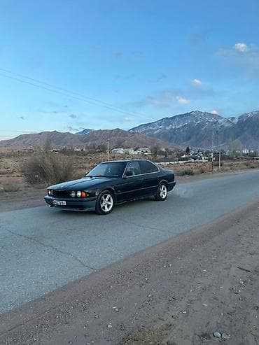 гофра е34: BMW 5 series: 1990 г., 2 л, Седан — 7