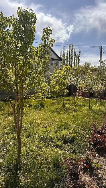 дома в беш кунгее: Продам просторный, уютный дом с потрясающим видом на горы и речку. 📍 — 5