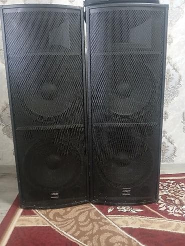 se electronics: Профессиональный звуковой комплект для мероприятий Состав: - Две — 5