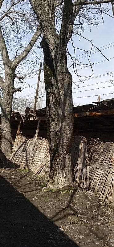 Материалы для кровли крыш: Жаңгак — 4