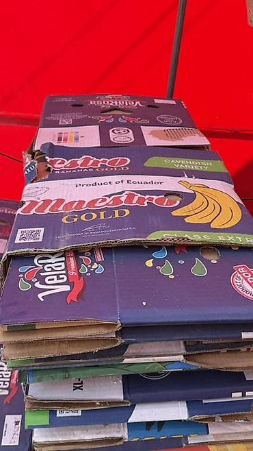 биндеры 8 листов для дома: Ящик — 3