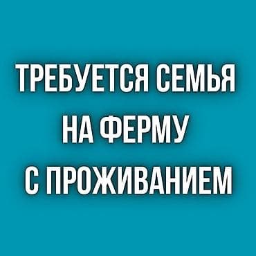 Такси, логистика, жеткирүү: На ферму требуется семья! Имеются все условия ждя работы и — 1