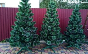 ель голубая цена: Новогодние ёлки Имеется все размеры С каробкой 60 см. - — 3