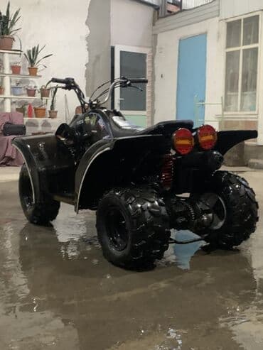 куплю опрыскиватель аккумуляторный: Квадроцикл Бензин, 160 куб. см, Взрослый — 4