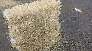 Корма для с/х животных: Тюк соломы прямоугольной формы. - Материал: солома злаковых культур — 1