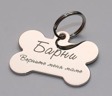 товары для кошек бишкек: Адресники-косточки: белые, золотые, серебряные с вашей надписью(имя — 4