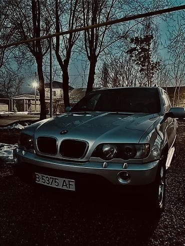BMW X5: 2003 г., 3 л, Автомат, Дизель, Кроссовер