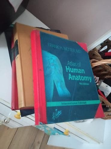 рисую: Атлас анатомии человека в трех томах.На продажу два тома. Первый том — 5