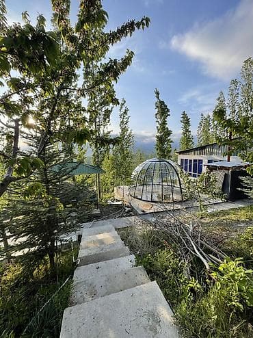 кафе токмок: Купол — 9