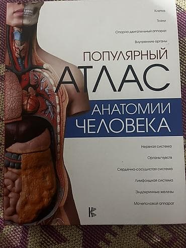 Популярный атлас анатомии человека Иллюстрированное издание с