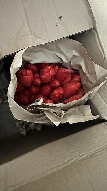 Цветы и букеты: Тюльпаны, срезка в крафт-упаковке. - Ассортимент оттенков — 7