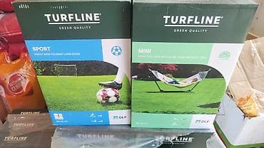 зеленый городок: Семена газонной травы TURFLINE (DLF) Варианты: - Sport — смесь для — 1