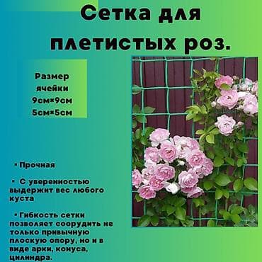 Другая сетка