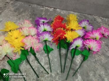 цветы искусственные бишкек: Цветы пластиковые искусственные цветы.
Длина 50см.
50с - 1шт — 8