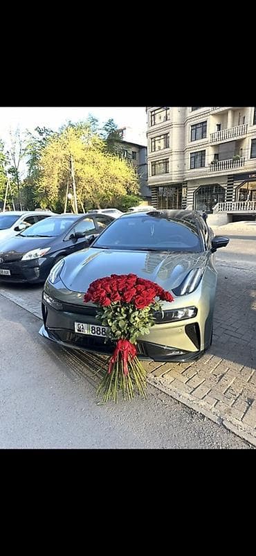 комнатные растения в бишкеке купить цена оптом и в розницу: Цветы Оптом!!! — 5